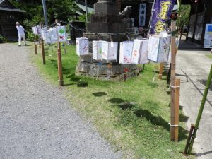 DSCN2266