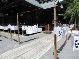 DSCN2297