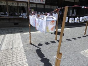 DSCN2304