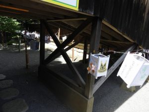 DSCN2313