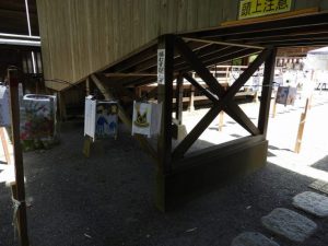 DSCN2317