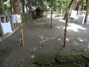DSCN2337