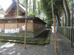 DSCN2339