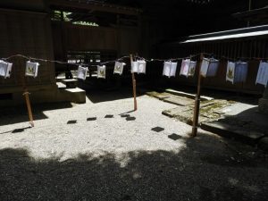 DSCN2344