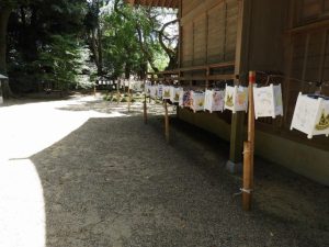 DSCN2354