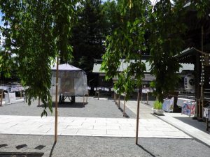 DSCN2365