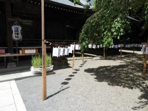 DSCN2367