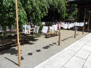 DSCN2368