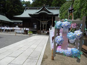 DSCN2374