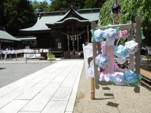 DSCN2375
