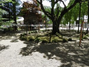 DSCN2381