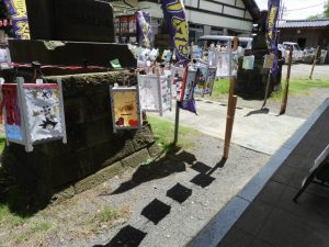 DSCN2416