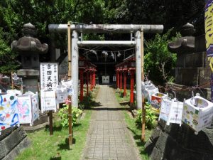 DSCN2420