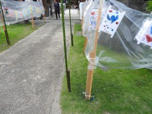 DSCN2479