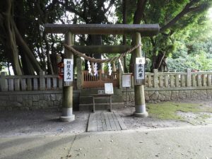 DSCN2489