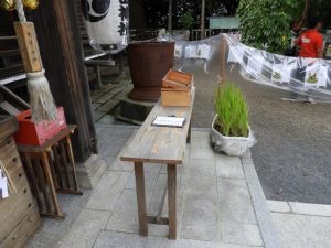 DSCN2519