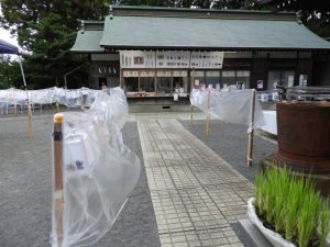 DSCN2520
