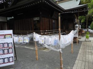 DSCN2522