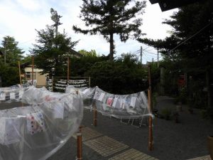 DSCN2524
