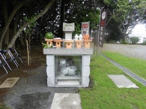 DSCN3197