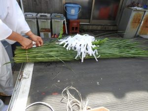 DSCN8522