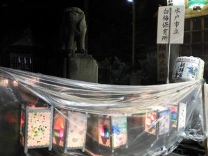 DSCN9358