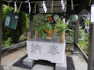 DSCN9689